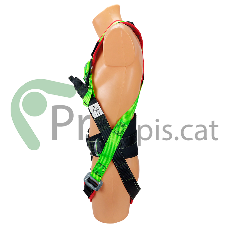 Arnès Pro Confort S14 - Imagen 3